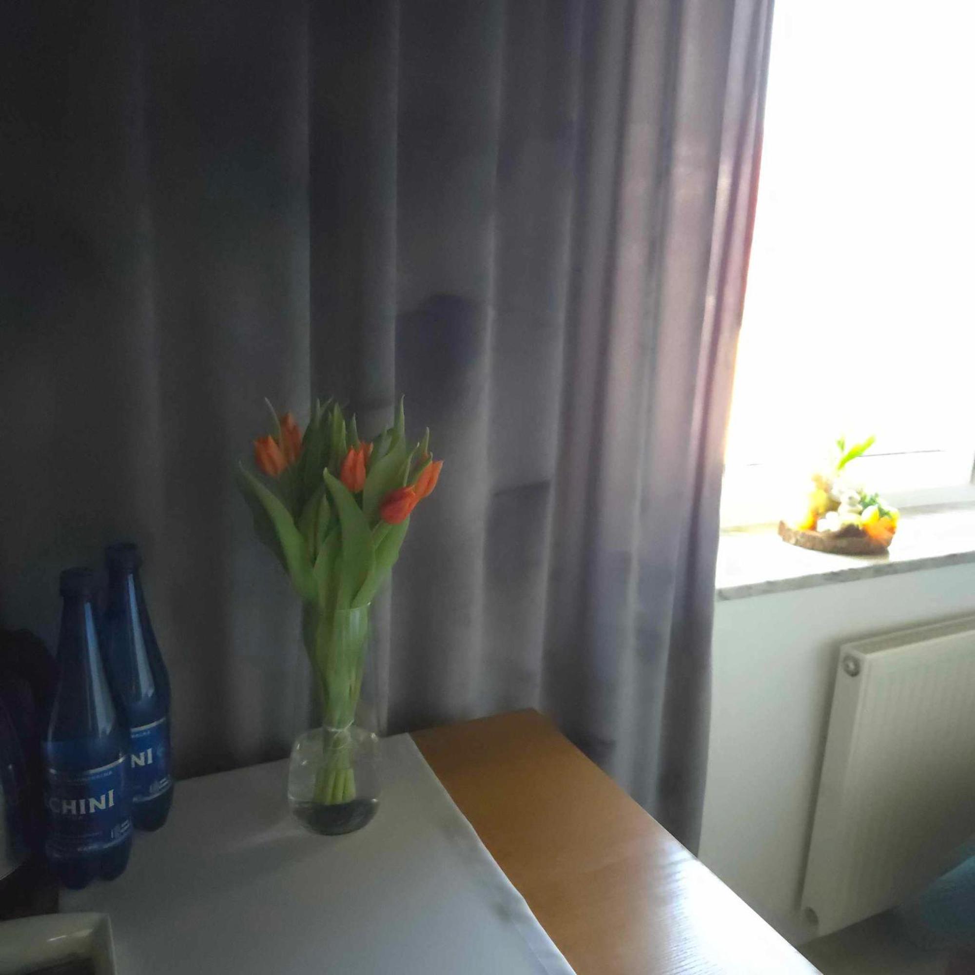 Frühstückspension Wiking Jastrzębia Góra